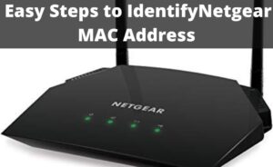 how to find netgear mac address